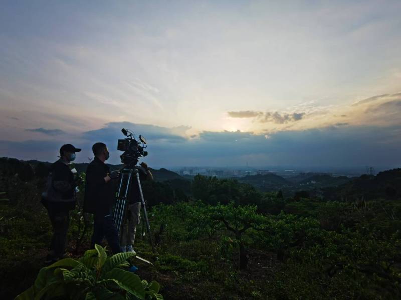 聚焦龙州县产品宣传视频拍摄公司，用专业实力铸就品牌传播传奇