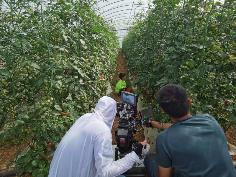 龙州县产品宣传视频拍摄公司进阶指南，助力品牌抢占传播高地